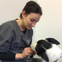 Belinda Nunes - Veterinary Surgeon (Small Animal)